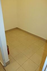 The Ford @ Holland (D10), Condominium #511288381